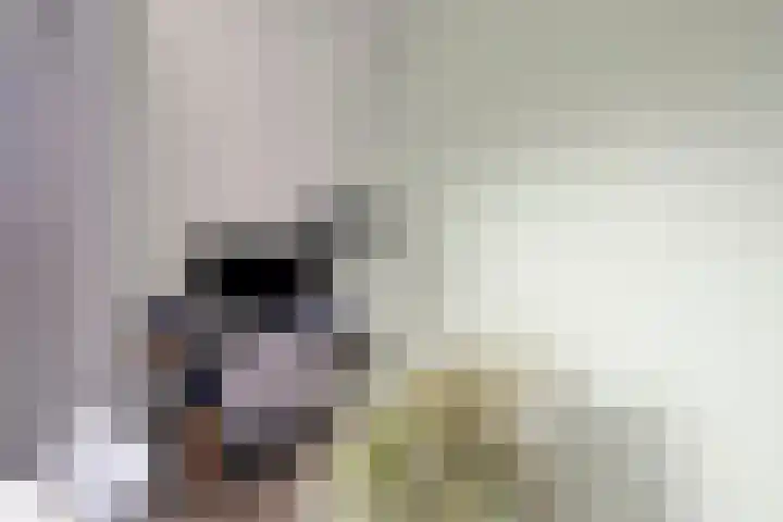 Raadhuislaan 34 d Rockanje thumbnail 17