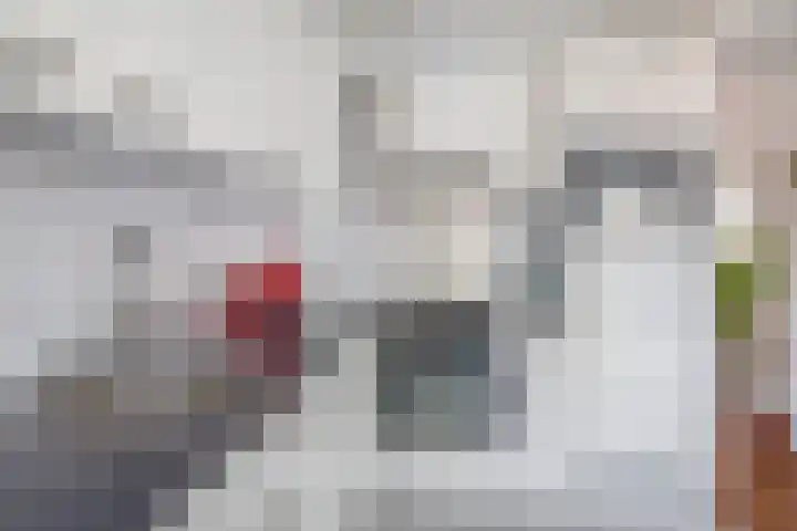Raadhuislaan 37 Spijkenisse thumbnail 20