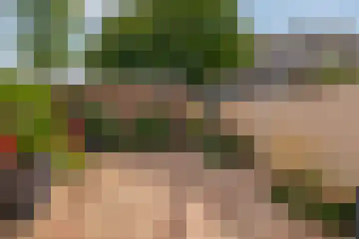 Raadhuislaan 37 Spijkenisse thumbnail 22
