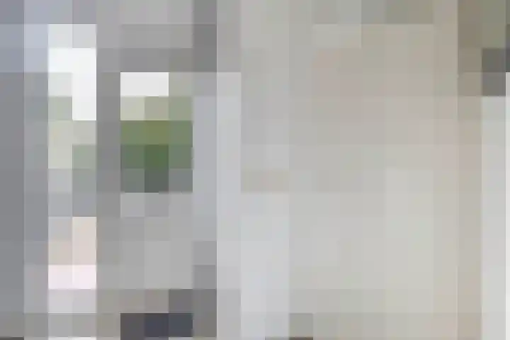Raadhuislaan 37 Spijkenisse thumbnail 28