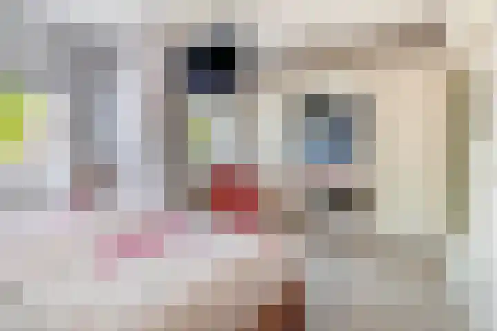 Raadhuislaan 37 Spijkenisse thumbnail 33