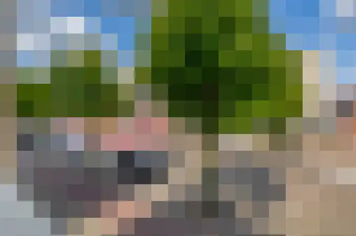 Raadhuislaan 37 Spijkenisse thumbnail 35