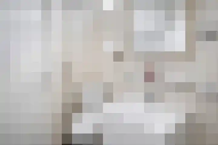 Raadhuislaan 37 Spijkenisse thumbnail 36