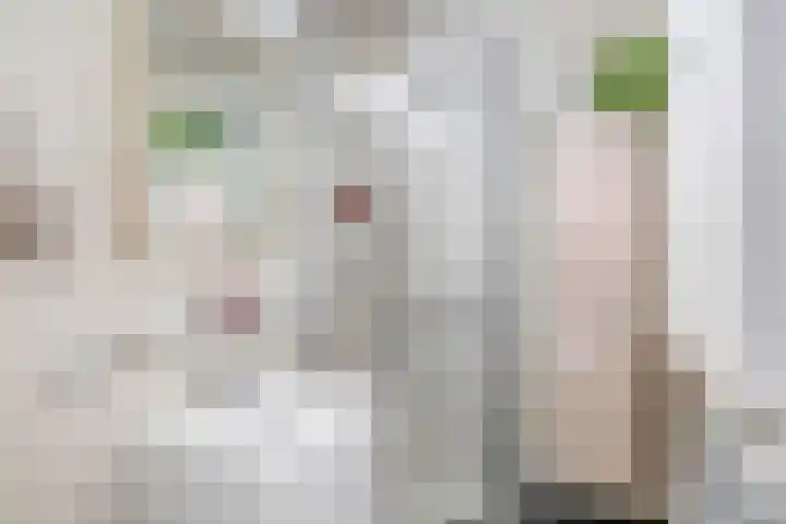 Raadhuislaan 37 Spijkenisse thumbnail 38