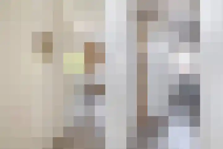 Raadhuislaan 37 Spijkenisse thumbnail 41