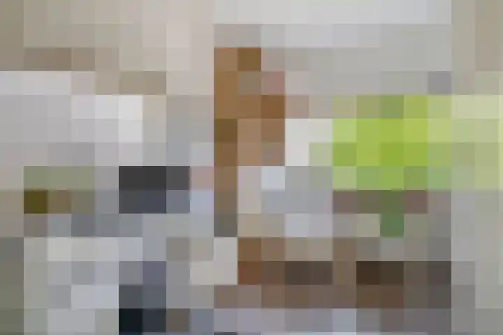 Raadhuislaan 37 Spijkenisse thumbnail 42
