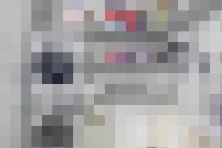 Raadhuislaan 37 Spijkenisse thumbnail 45