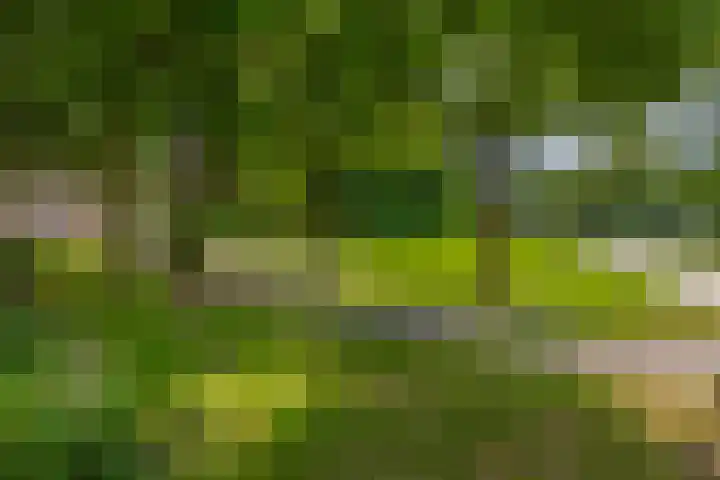 Raadhuislaan 37 Spijkenisse thumbnail 47