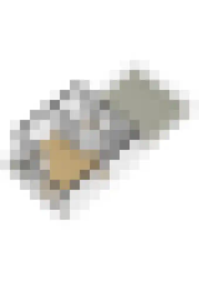 Raadhuislaan 37 Spijkenisse thumbnail 53