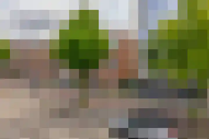 Raadhuislaan 37 Spijkenisse thumbnail 6