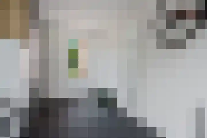 Raadhuislaan 39 Diever thumbnail 15