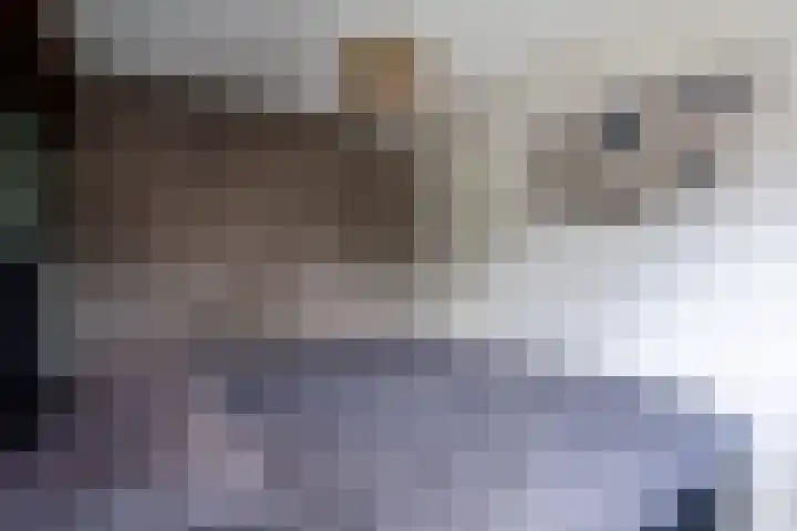Raadhuislaan 39 Diever thumbnail 19
