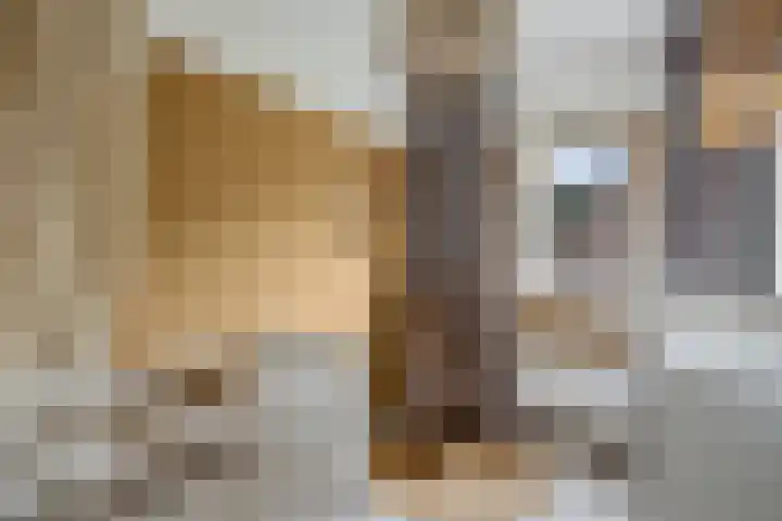 Raadhuislaan 39 Diever thumbnail 22