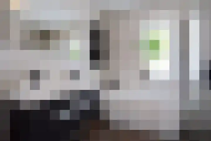 Raadhuislaan 39 Diever thumbnail 23