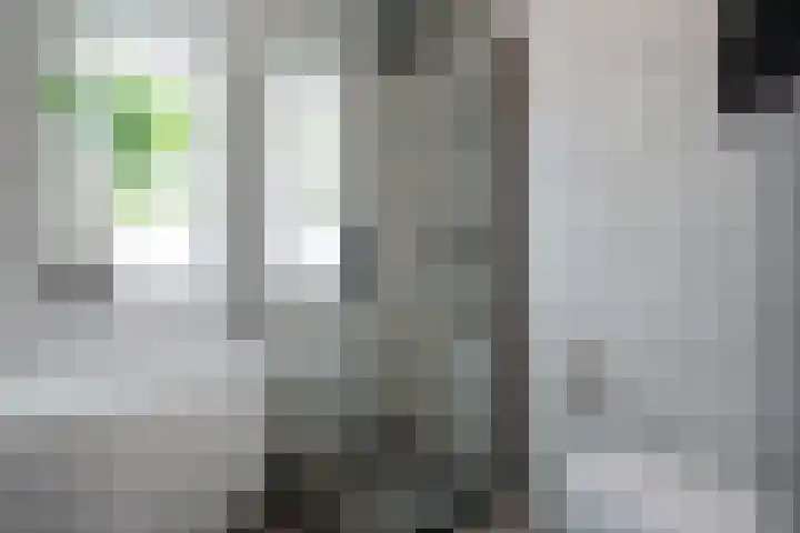 Raadhuislaan 39 Diever thumbnail 24