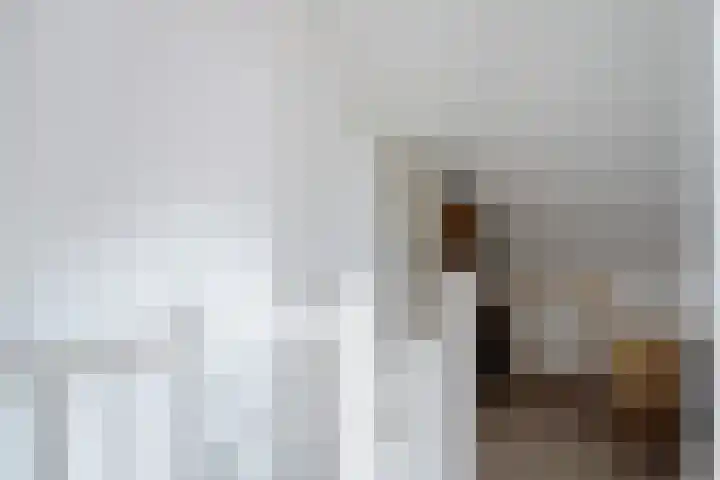 Raadhuislaan 39 Diever thumbnail 26