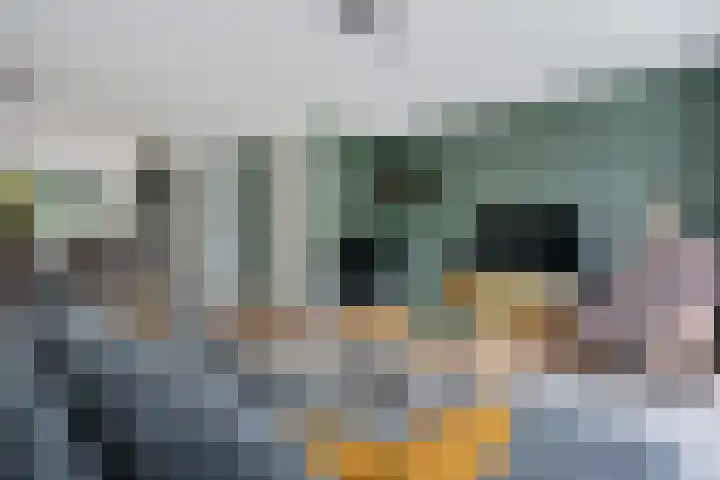 Raadhuislaan 39 Diever thumbnail 6