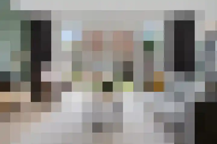 Raadhuislaan 39 Diever thumbnail 8