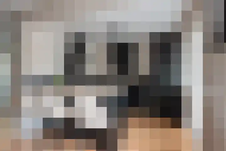 Raadhuislaan 4 Eemnes thumbnail 16