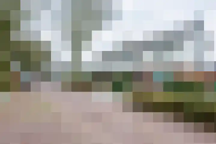 Raadhuislaan 4 Eemnes foto 2