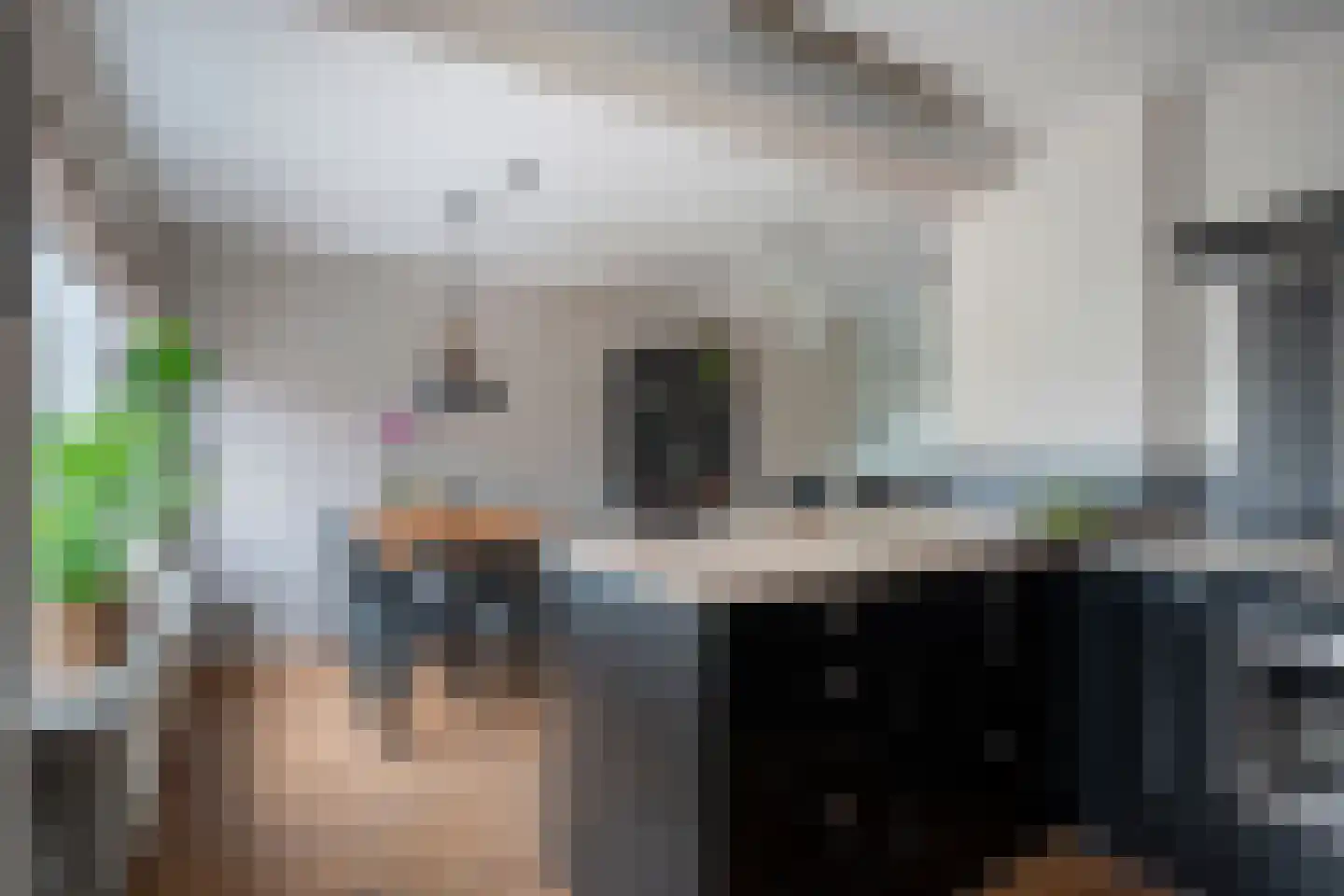 Raadhuislaan 4 Eemnes thumbnail 20