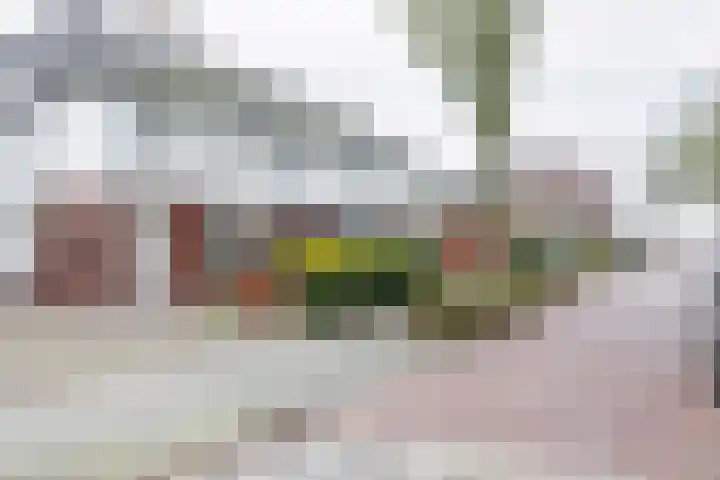 Raadhuislaan 4 Eemnes foto 3