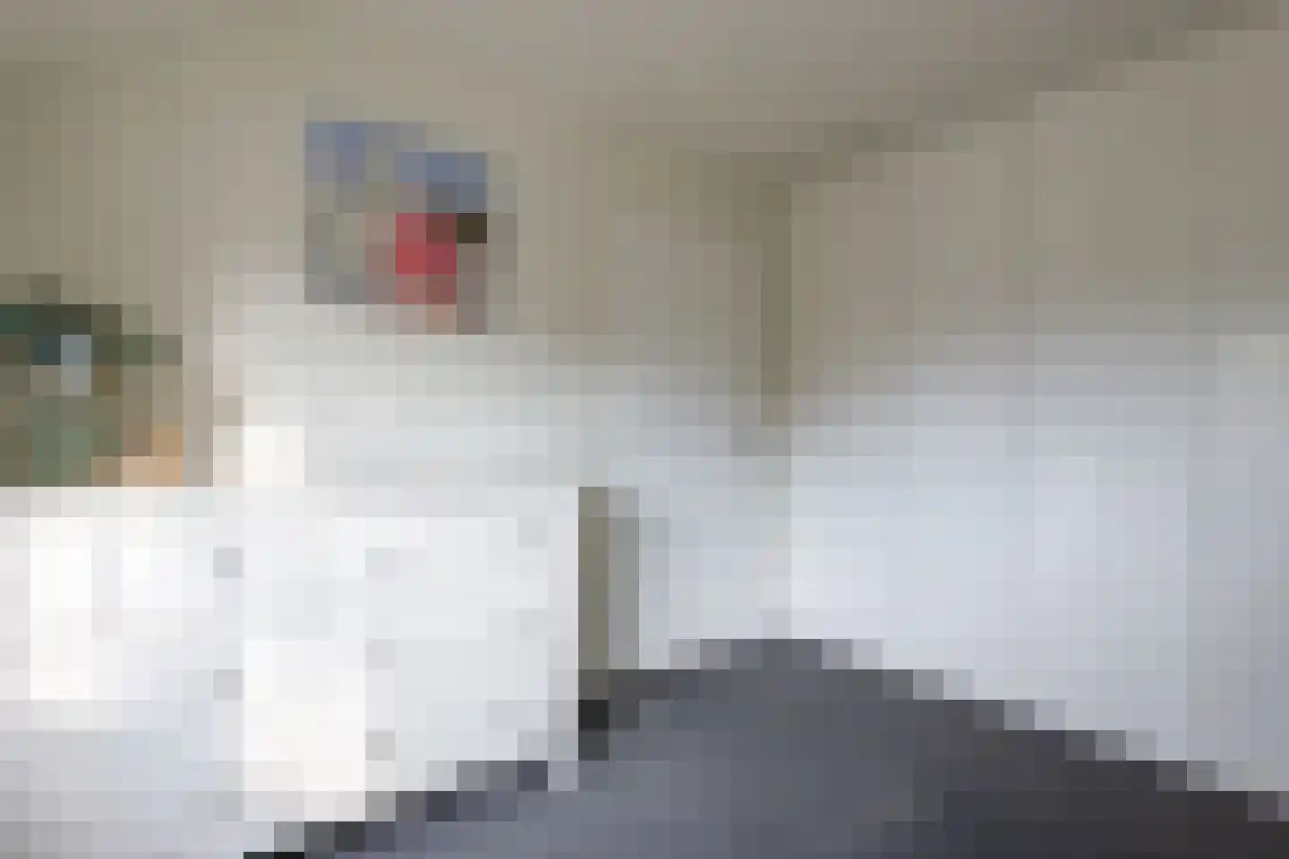 Raadhuislaan 4 Eemnes thumbnail 34