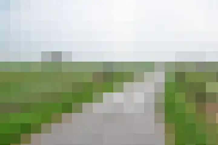 Raadhuislaan 4 Eemnes thumbnail 49