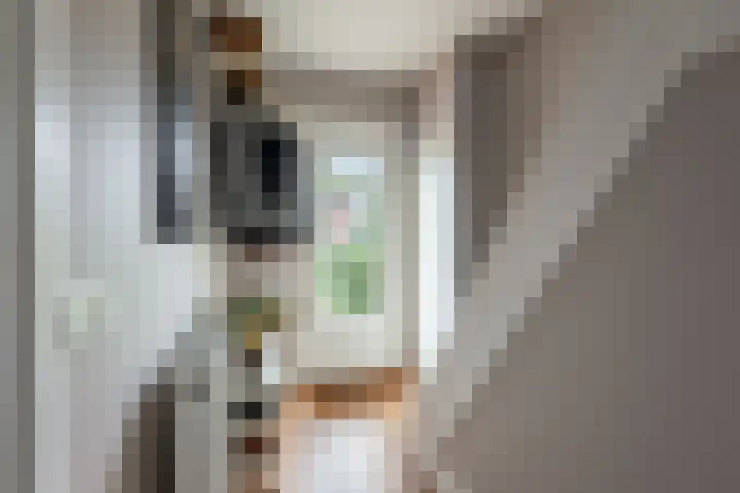 Raadhuislaan 4 Eemnes thumbnail 6