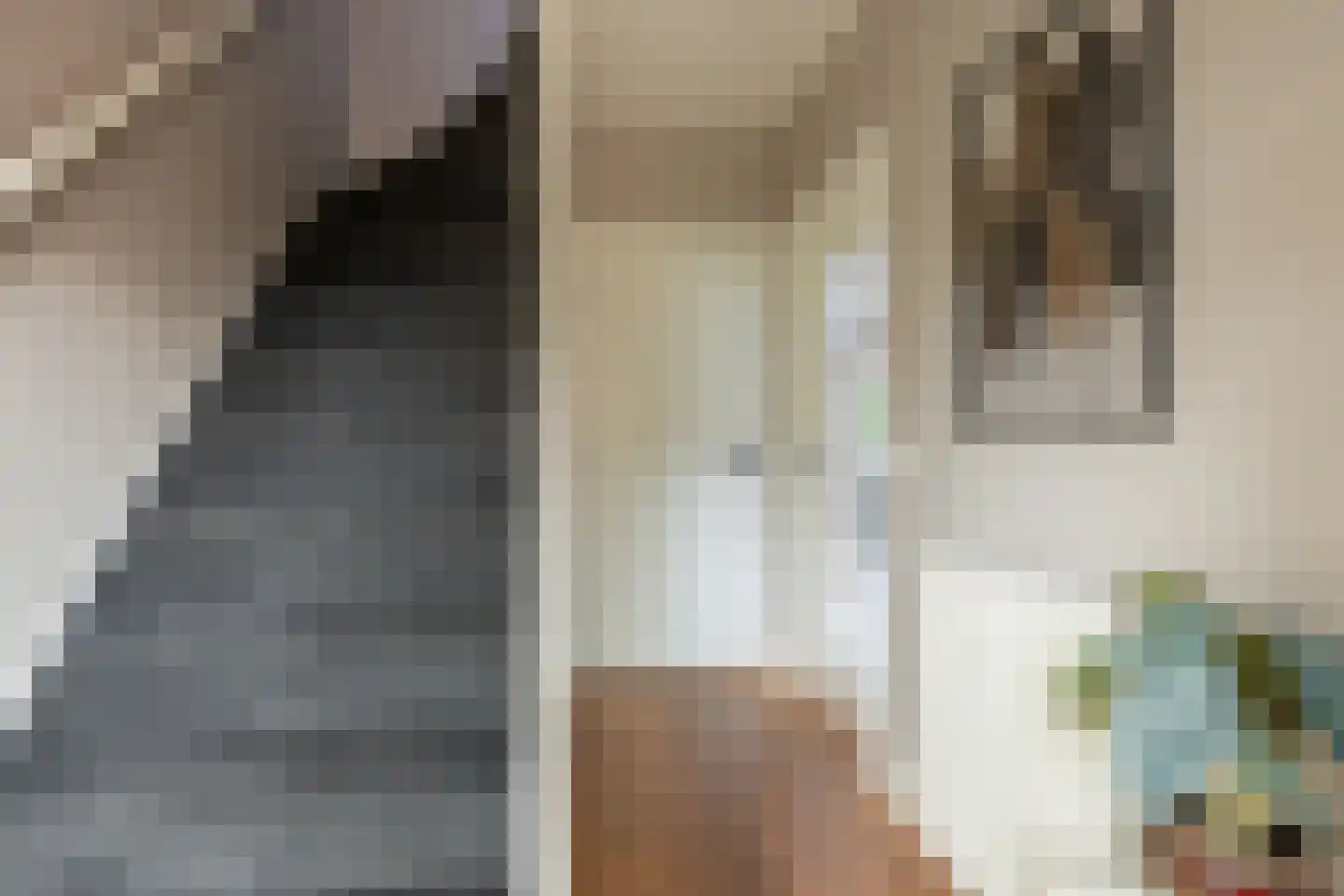 Raadhuislaan 4 Eemnes thumbnail 7