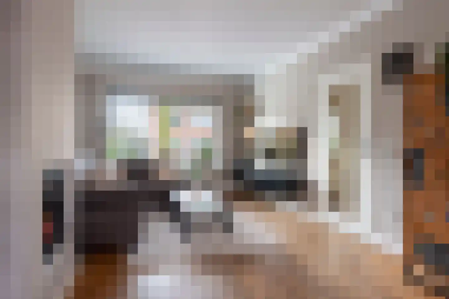Raadhuislaan 4 Eemnes thumbnail 9