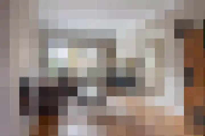 Raadhuislaan 4 Eemnes thumbnail 9