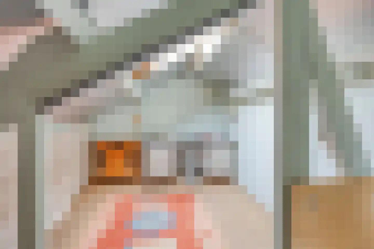 Raadhuislaan 4 Leimuiden thumbnail 33