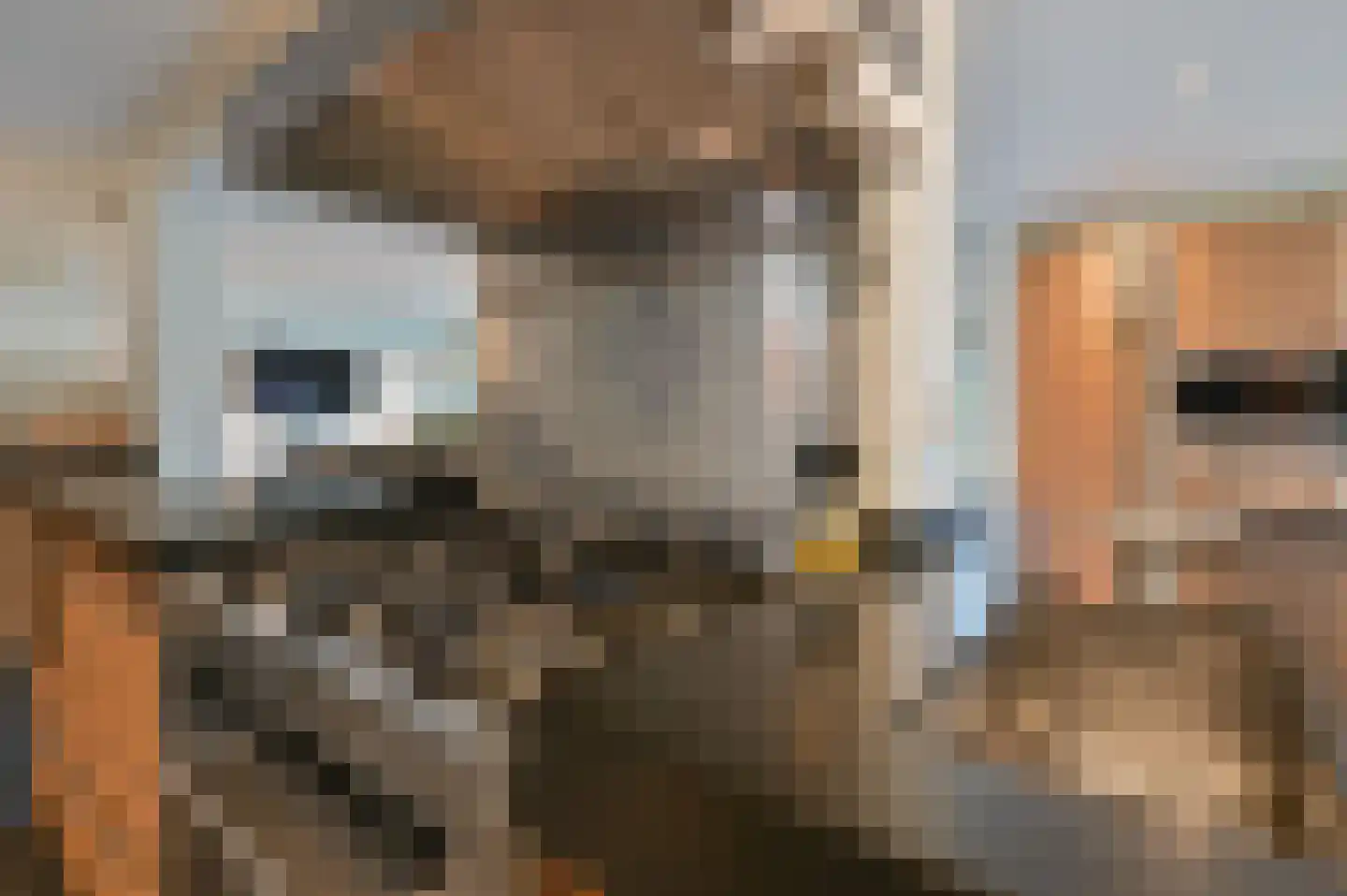 Raadhuislaan 4 Mijdrecht thumbnail 21