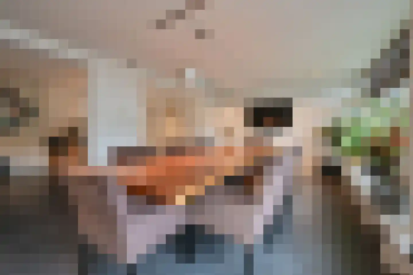 Raadhuislaan 4 Mijdrecht thumbnail 26