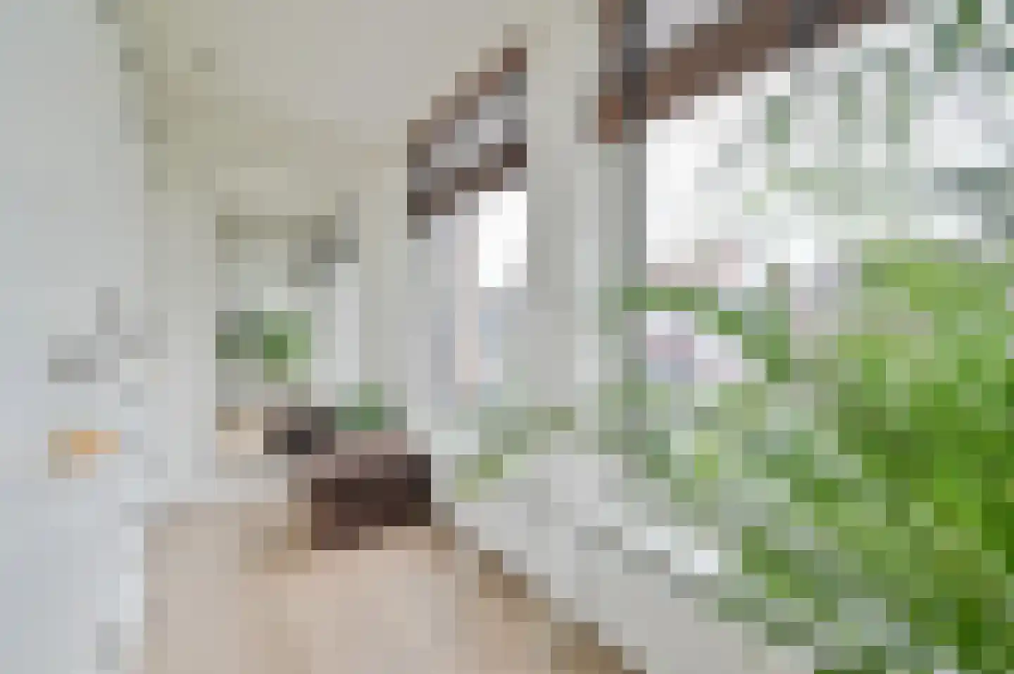 Raadhuislaan 4 Mijdrecht thumbnail 38