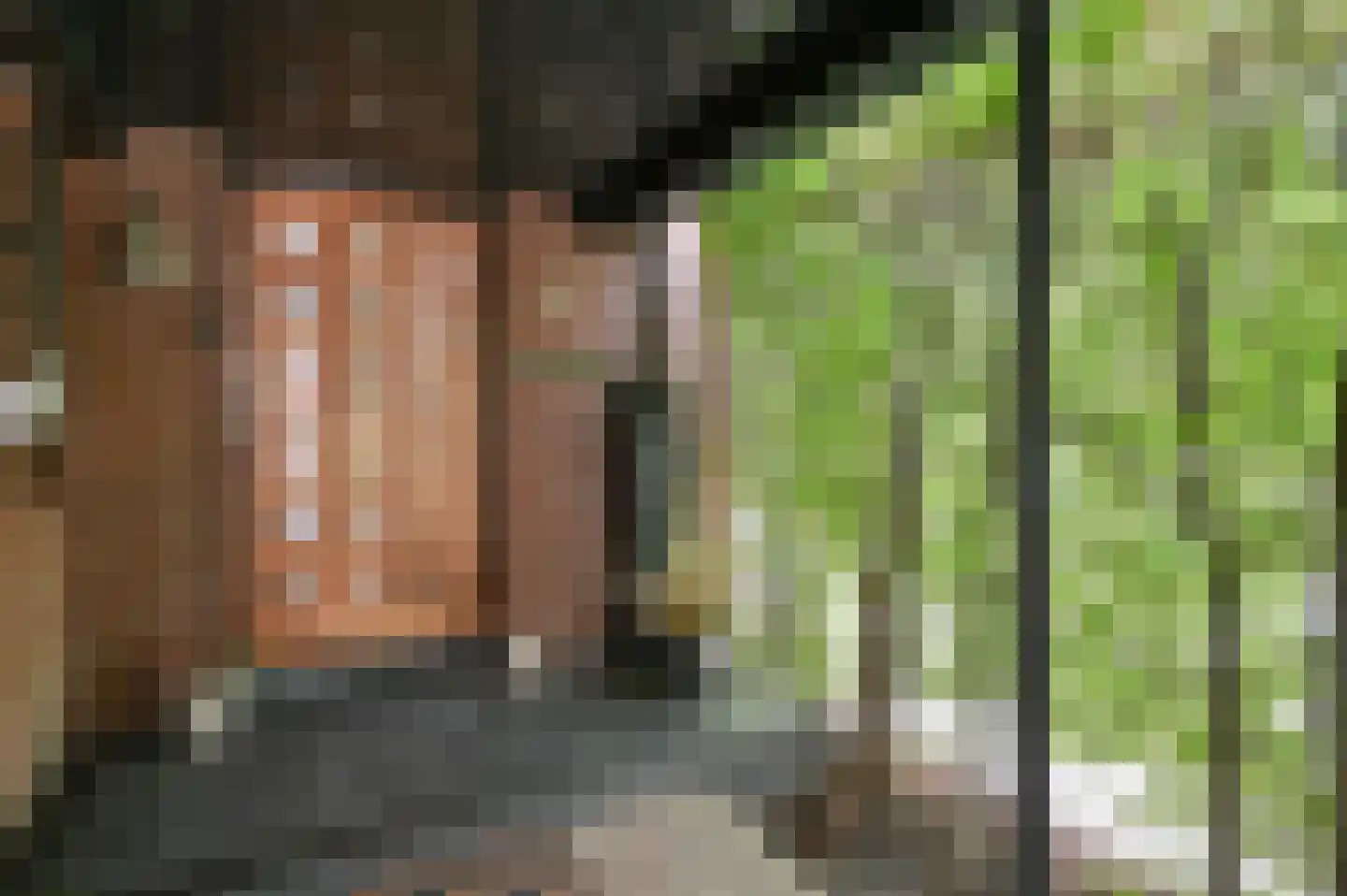 Raadhuislaan 4 Mijdrecht thumbnail 62