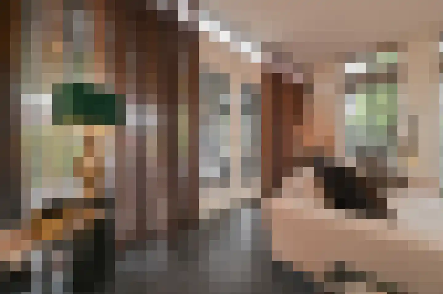 Raadhuislaan 4 Mijdrecht thumbnail 9