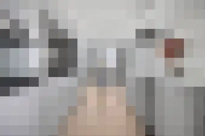 Raadhuislaan 45 B Oss thumbnail 10