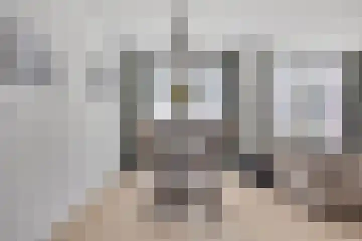 Raadhuislaan 45 B Oss thumbnail 11