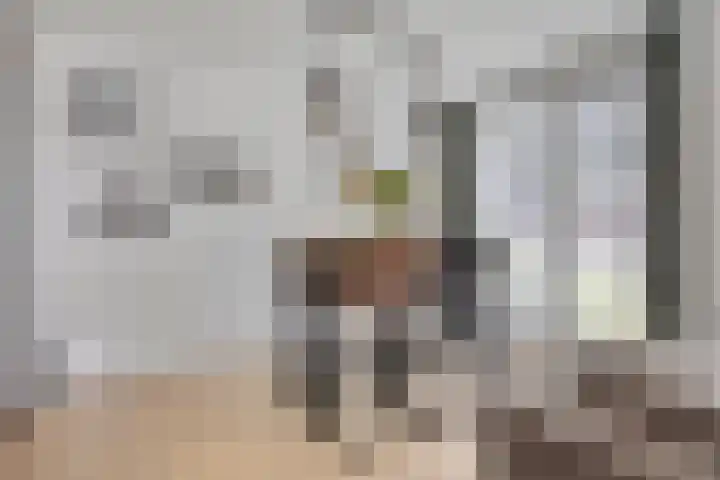 Raadhuislaan 45 B Oss thumbnail 12