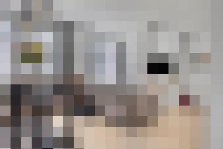 Raadhuislaan 45 B Oss thumbnail 13
