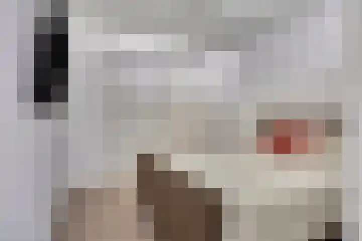 Raadhuislaan 45 B Oss thumbnail 16