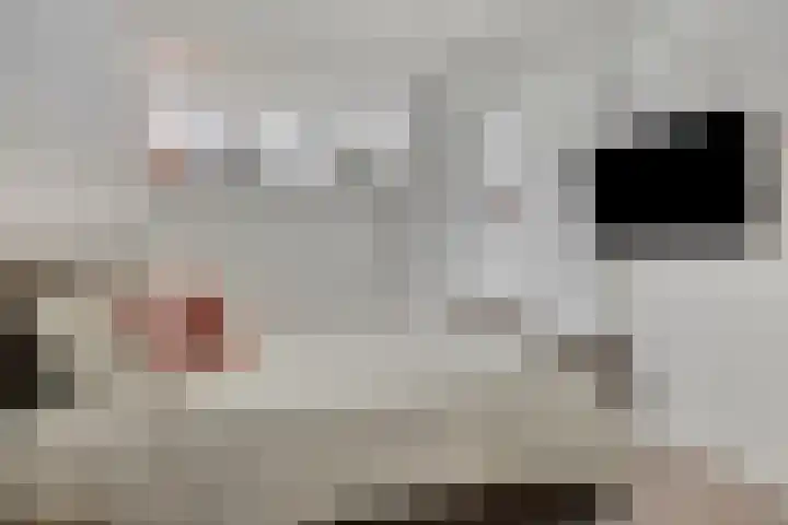 Raadhuislaan 45 B Oss thumbnail 17