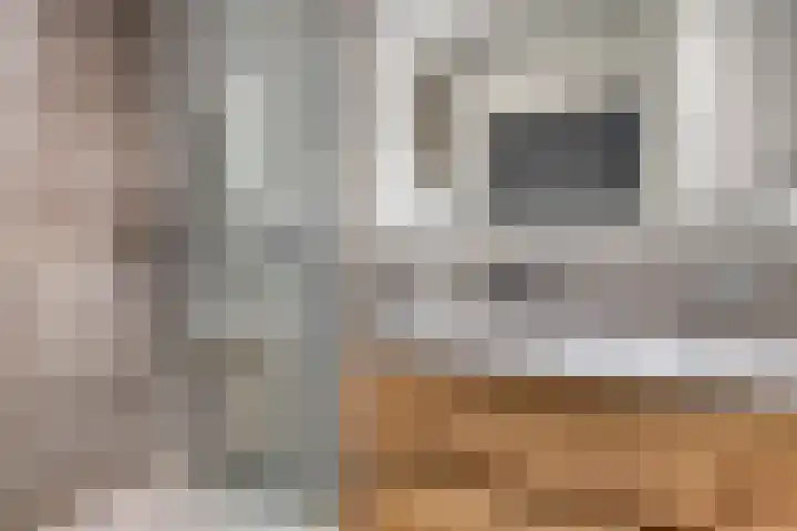 Raadhuislaan 45 B Oss thumbnail 18