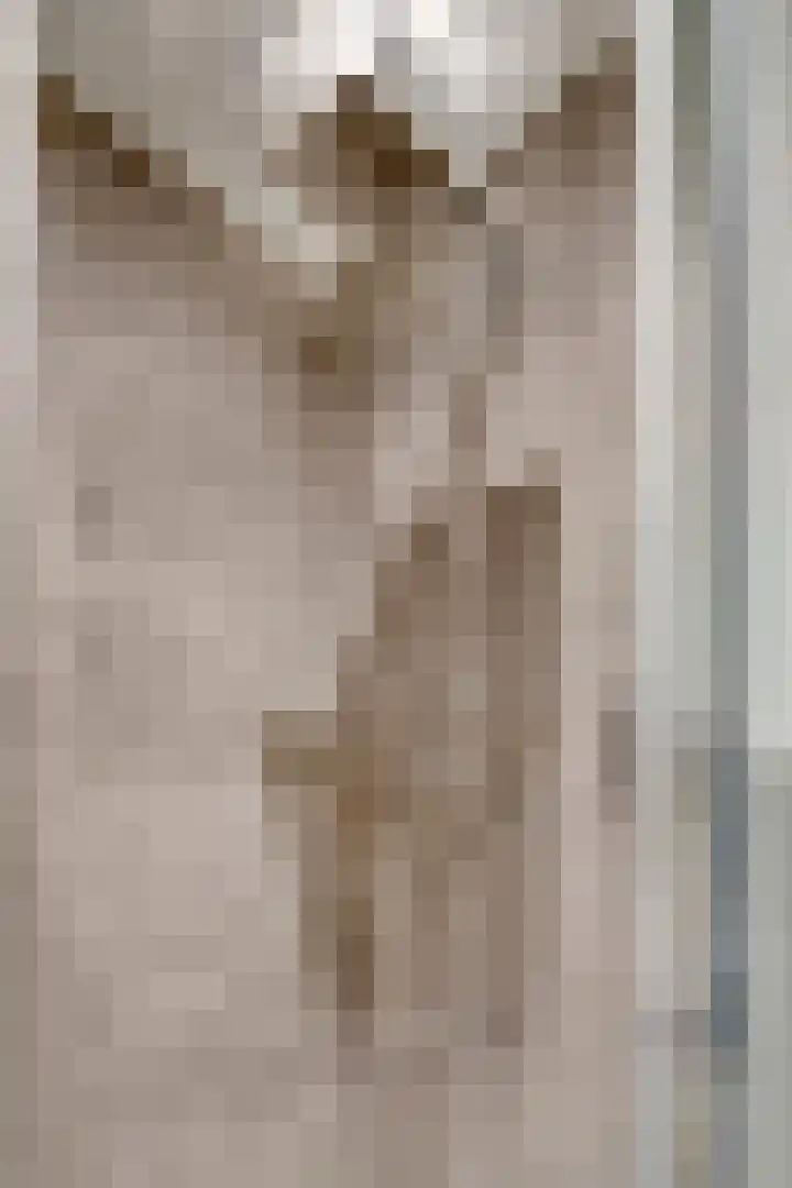 Raadhuislaan 45 B Oss thumbnail 19