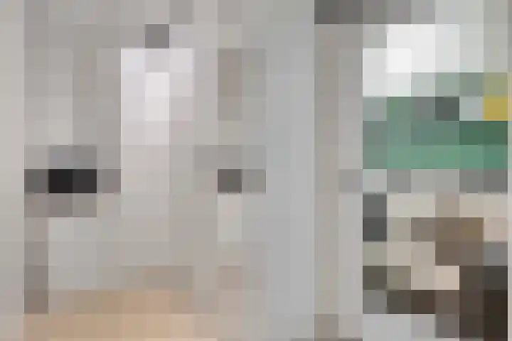 Raadhuislaan 45 B Oss thumbnail 22