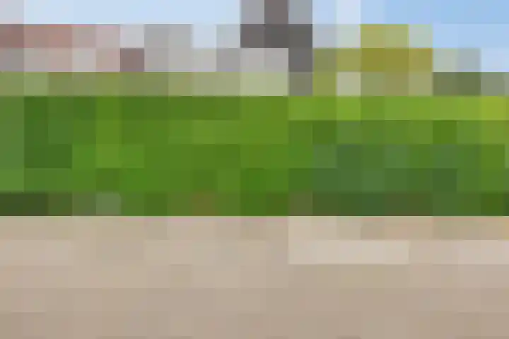 Raadhuislaan 45 B Oss thumbnail 23