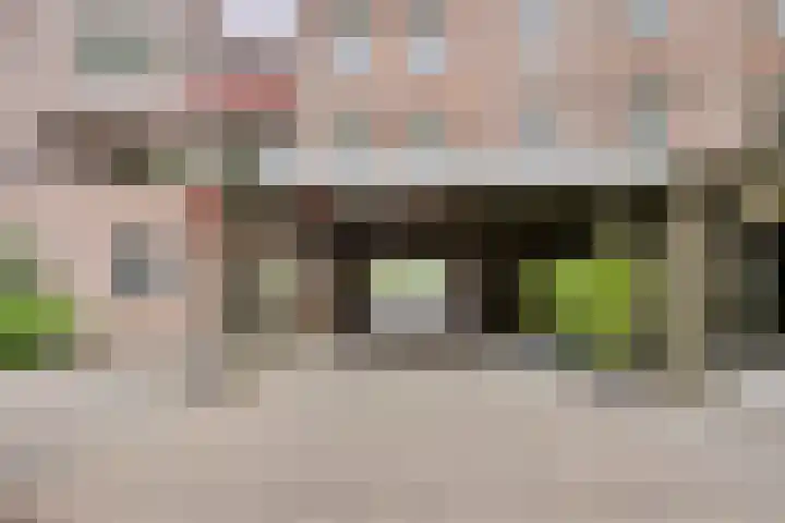 Raadhuislaan 45 B Oss foto 3