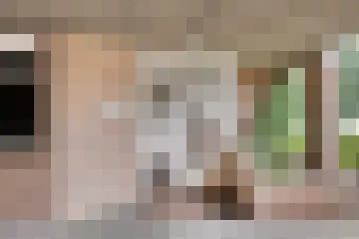 Raadhuislaan 45 B Oss thumbnail 4